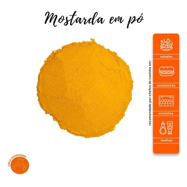 Mostarda Em Pó Alta Qualidade Kit 2 Pote Com Dosador 50G - Natural Do Povo Imagem de Mostarda Em Pó Alta Qualidade Kit 2 Pote Com Dosador 50G