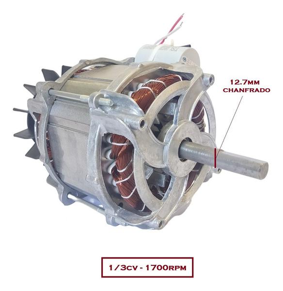 Imagem de Motor 1/3cv 1700rpm Multiuso Eixo 12.7mm 440w Brutus 127v