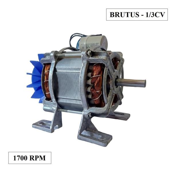 Imagem de Motor 1/3cv Elétrico Robusto Multiuso 1/3hp Brutus 127v