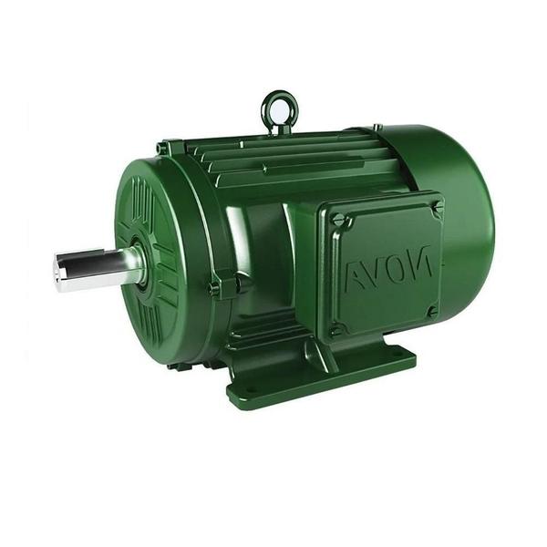 Motor Alta Trifasico 03,00 Blindado Ie.3 Nova M732420A00 Imagem de Motor Alta Trifasico 03,00 Blindado Ie.3 Nova M732420A00