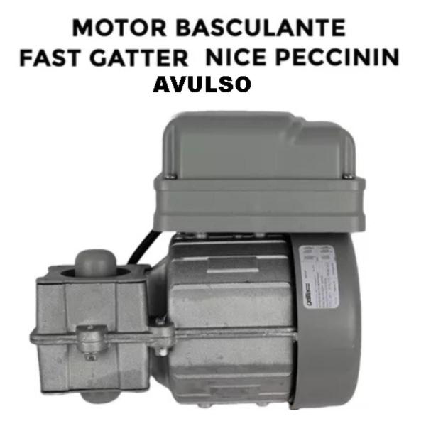 Imagem de Motor Basculante Gatter Com  Placa  Avulso Peccinin