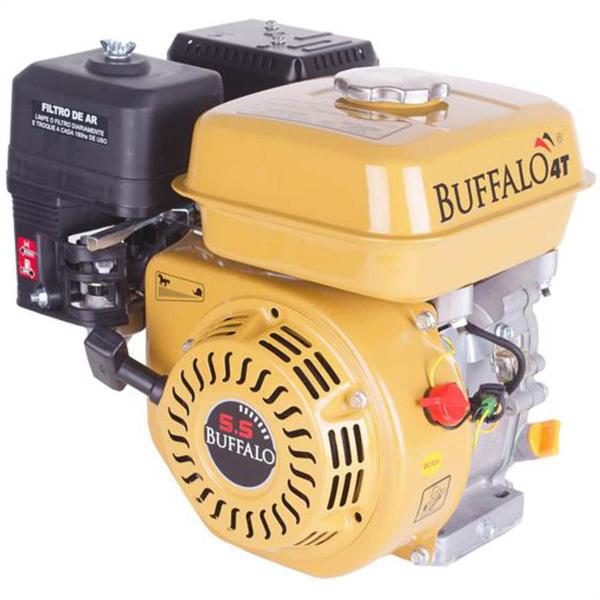 Imagem de Motor buffalo bfg 4t 5.5cv