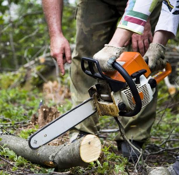 Imagem de Motoserra Ms 310 Stihl - Original E Uma Super Potência!