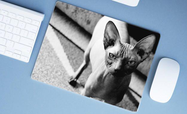 Imagem de Mouse Pad Emborrachado Personalizado Gatos Cat Felino, 40x30