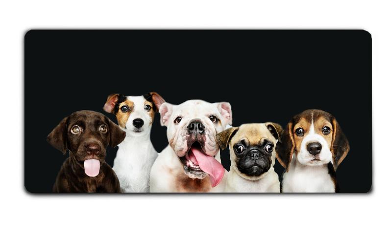 Imagem de Mouse Pad Grande - Linha Pet - Cachorros Amigos 