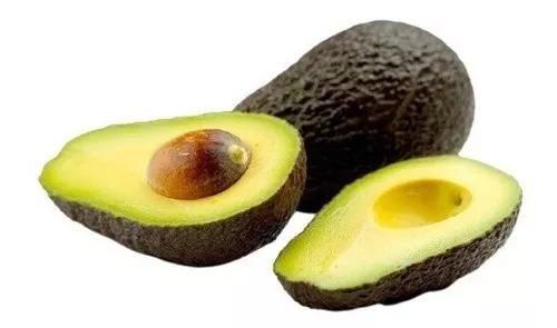 Imagem de Muda de Abacate Avocado 20 a 40 cm AMK - Plantas Online