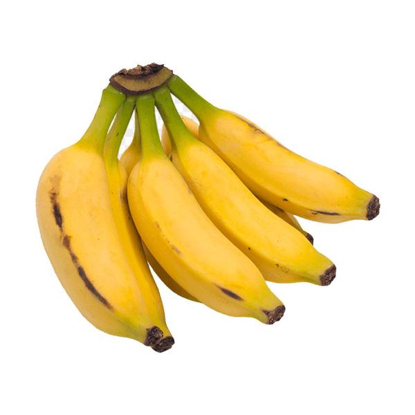 Imagem de Muda de Banana Prata Ana 20 a 40cm AMK - Plantas Online