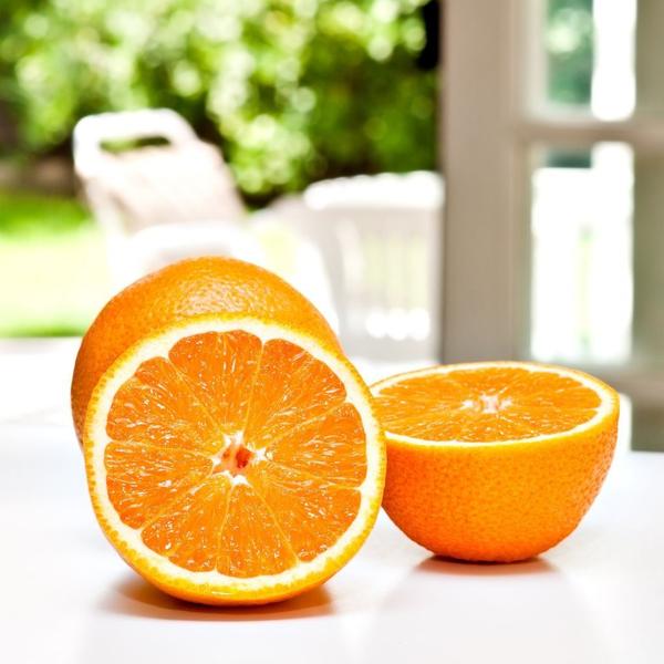 Muda de Laranja Valência - Enxertada - Carcan Plantas Imagem de Muda de Laranja Valência - Enxertada