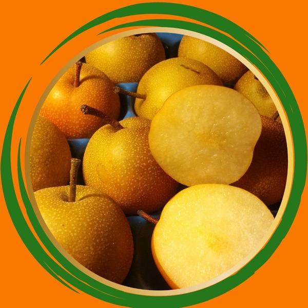 Muda de Pera Maça Enxertada - Gardencitrus Imagem de Muda de Pera Maça Enxertada