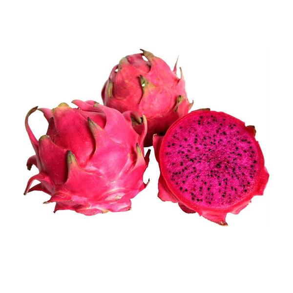 Imagem de Muda de Pitaya 20 a 40cm AMK - Plantas Online