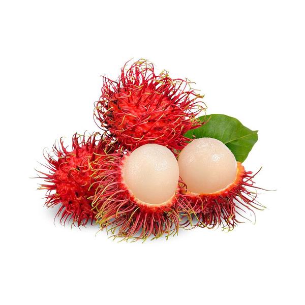 Imagem de Muda de Rambutan 20 a 40cm AMK - Plantas Online