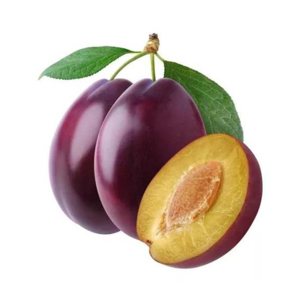 Muda Frutífera de Ameixa Reubennel Enxertada - AgroJardim Imagem de Muda Frutífera de Ameixa Reubennel Enxertada