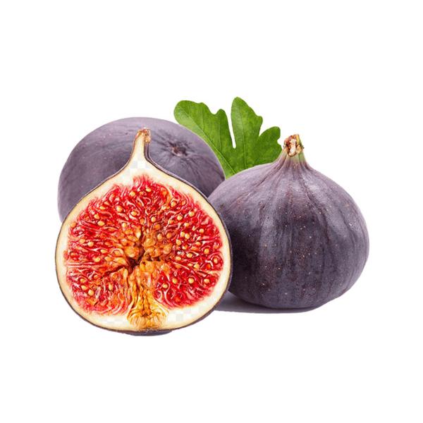 Muda Frutífera de Figo Roxo de Valinhos - AgroJardim Imagem de Muda Frutífera de Figo Roxo de Valinhos