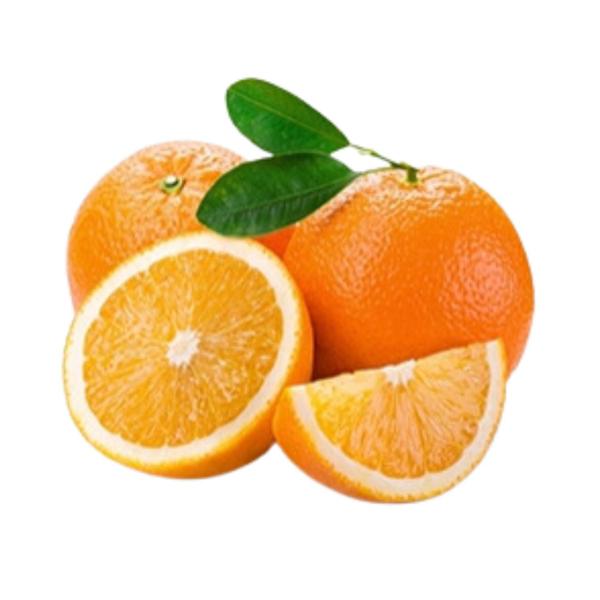 Imagem de Muda Frutífera de Laranja Seleta Enxertada