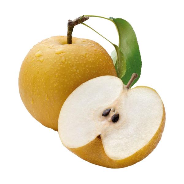 Muda Frutífera de Pera Hosuii (Mole) Enxertada - AgroJardim Imagem de Muda Frutífera de Pera Hosuii (Mole) Enxertada