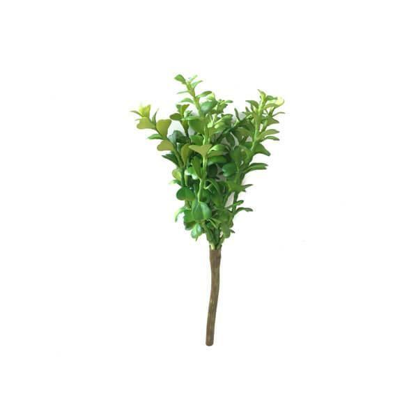 Imagem de Murta mini folhagem (22cm)- verde