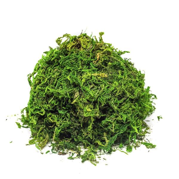 Musgo Artificial Para Arranjos E Jardins 1 Litros - Ef Imagem de Musgo Artificial Para Arranjos E Jardins 1 Litros