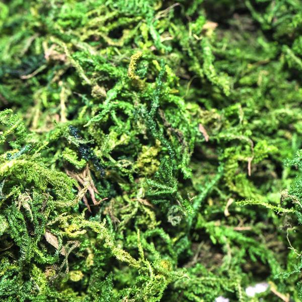 Musgo Artificial Para Arranjos E Jardins 1 Litros - Ef Imagem de Musgo Artificial Para Arranjos E Jardins 1 Litros