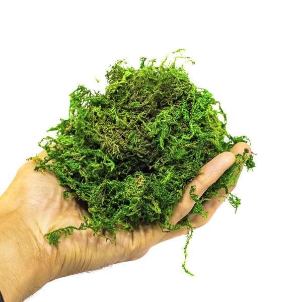 Musgo Artificial Para Arranjos E Jardins 1 Litros - Ef Imagem de Musgo Artificial Para Arranjos E Jardins 1 Litros
