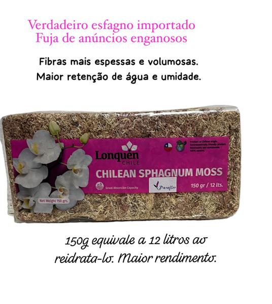 Imagem de Musgo esfagno Chileno - 150g ideal para orquídeas e plantas carnívoras.