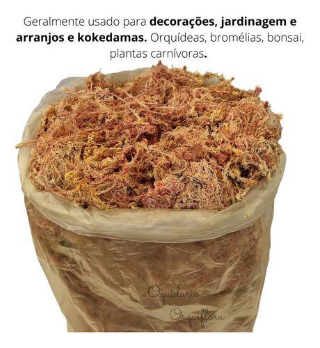 Imagem de Musgo Sphagnum Sphagno Saco Grande 80 Litros Atacado Seco Desidratado Fertilizante Natural