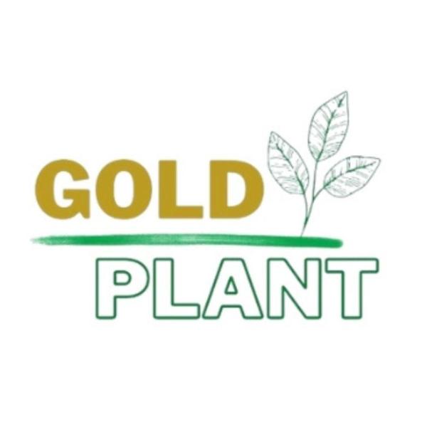 Imagem de Musgo verde para artesanato, vasos, plantas, orquideas arranjos -50 litros Gold Plant