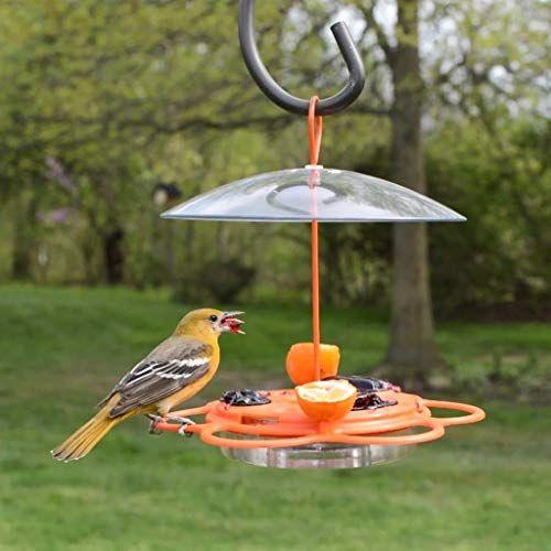 Imagem de Nature's Way OFP1 All-in-One Oriole Buffet Bird Feeder, Laranja