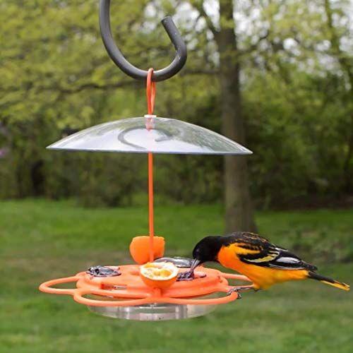 Imagem de Nature's Way OFP1 All-in-One Oriole Buffet Bird Feeder, Laranja