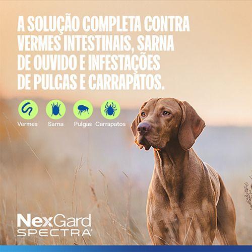 Imagem de Nexgard Spectra Para Cães De 3,6 A 7,5kg - 3 Tabletes Cor Amarelo