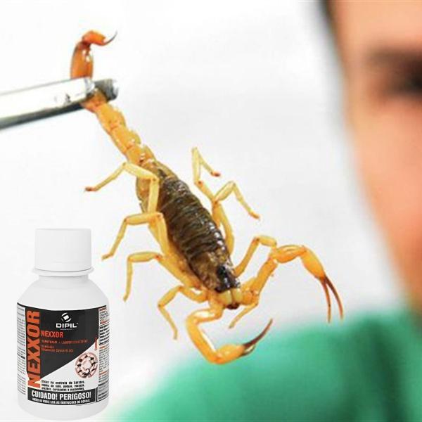 Nexxor Concentrado 100ml Contra Escorpião Carrapato Pulga Aranha