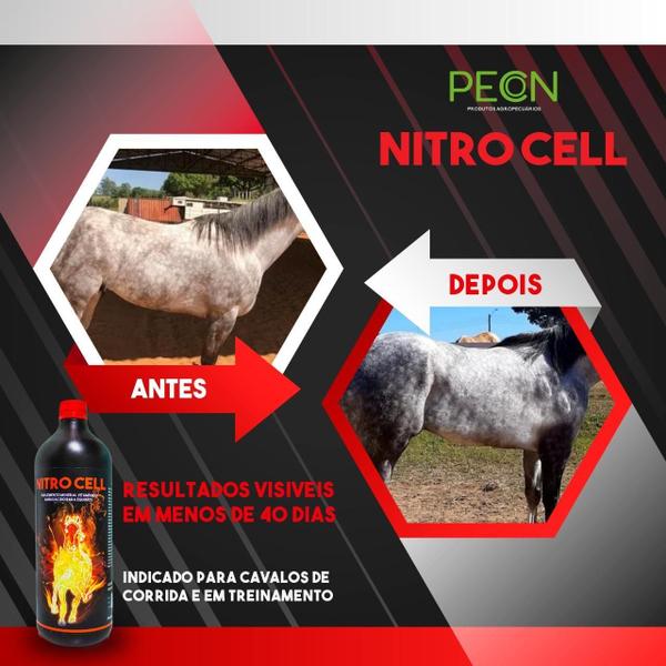 Imagem de Nitro Cell 1L Revigorante E Aumento De Resistencia P/Equinos