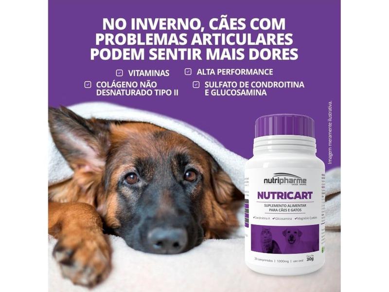 Imagem de Nutricart 1000mg 30 Comprimidos - Nutripharme - 2 Unidades