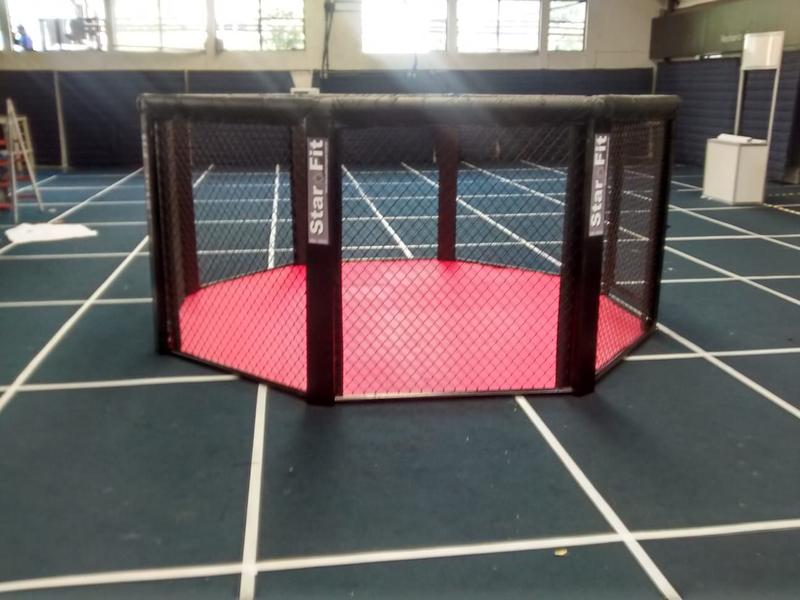 Octógono de MMA, Boxe Muay Thai Solo Tamanho 4 X 4metros - Formix 3D Imagem de Octógono de MMA, Boxe Muay Thai Solo Tamanho 4 X 4metros