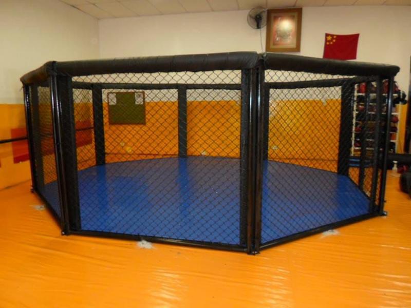 Imagem de Octógono de MMA, Boxe Muay Thai Solo  Tamanho 5 X 5metros