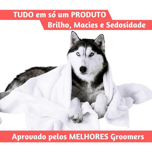 Imagem de Oleo Argan Cachorro Gato Petshop Banho E Tosa Freshness Pet