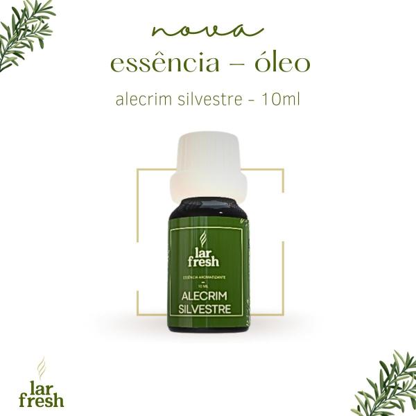 Óleo Essencial Alecrim 10ml Ajuda Melhorar Concentração Memória - Lar Fresh Imagem de Óleo Essencial Alecrim 10ml Ajuda Melhorar Concentração Memória - Lar Fresh