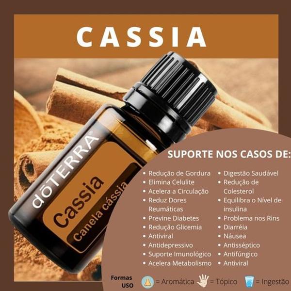 Imagem de Óleo essencial de Cassia 05ml 100 gotas - Suporte redução de gordura, rins, diarréia, náuseas