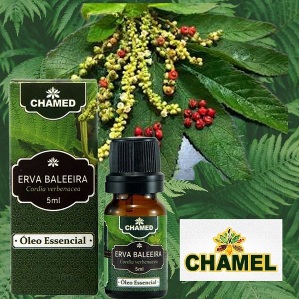 Imagem de Óleo Essencial de Erva Baleeira Puro e Natural 5ml - Chamed