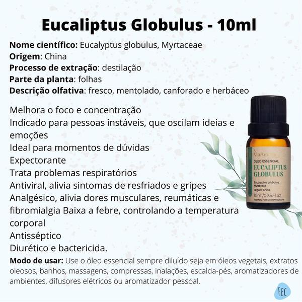 Imagem de Óleo Essencial De Eucaliptus Globulus Via Aroma 10ml - Eucalipto