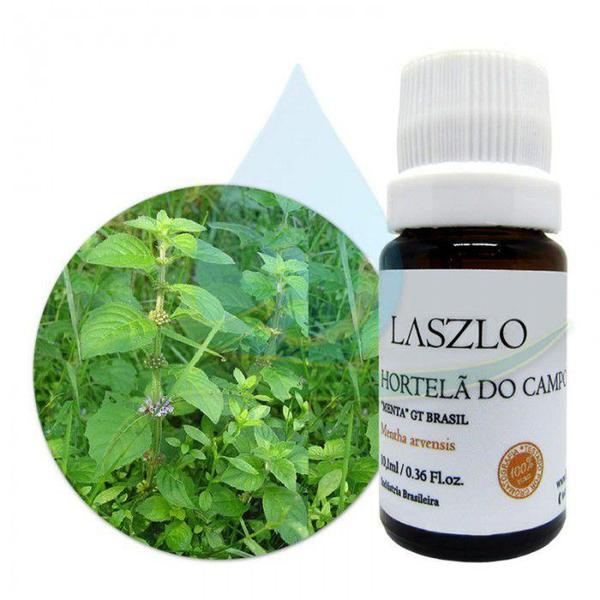 Imagem de Óleo Essencial de Hortelã do Campo (Menta) - GT Brasil - Laszlo - 10.1ml