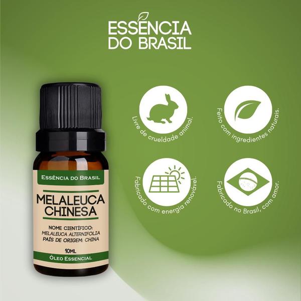 Imagem de Óleo Essencial Melaleuca Chinesa 10ml Orgânico Natural Puro