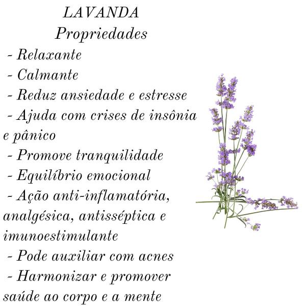 Imagem de Óleo lavanda 100ml olfato home spray natural aromaterapia aromatizador de ambiente casa escritório salas quartos lojas