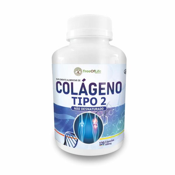 Imagem de Ômega 3 120 Cápsulas 1000Mg + Colágeno Tipo 2 Uc Ii 120