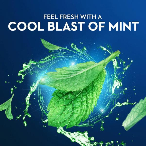 Oral-B Mint Floss Picks Fio Dental Flosser Hortelã - 75 Unid - Oral B Imagem de Oral-B Mint Floss Picks Fio Dental Flosser Hortelã - 75 Unid