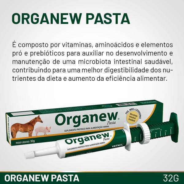 Imagem de Organew 32g Pasta Suplementos Para Cavalos E Suínos - Vetnil