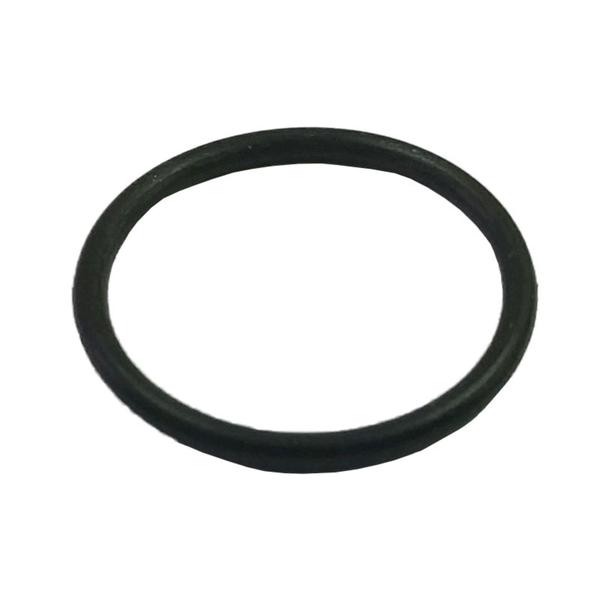 Imagem de Oring Para Lavadora De Pressão Karcher 9.376-007.