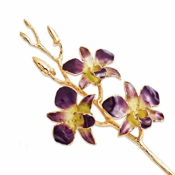 Imagem de Orquídea de Laca Mergulhada em Ouro Aparado Roxo/Amarelo Dendrobium 