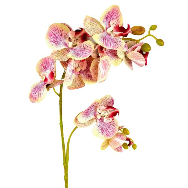 Orquídea Rosa E Amarela 3D 68X13X8Cm Planta Artificial - Inigual Imagem de Orquídea Rosa E Amarela 3D 68X13X8Cm Planta Artificial