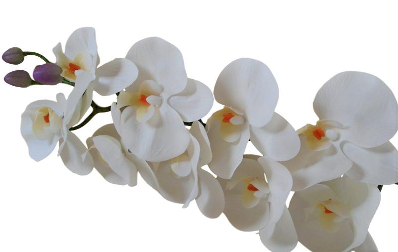 Imagem de Orquídeas artificias 3D em silicone 6 hastes branco