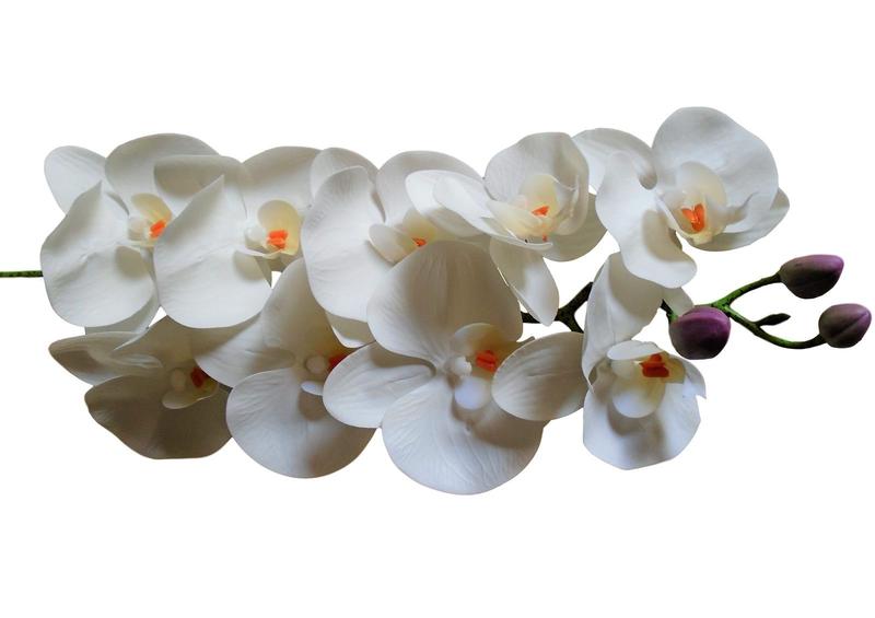 Imagem de Orquídeas artificias 3D em silicone 6 hastes branco